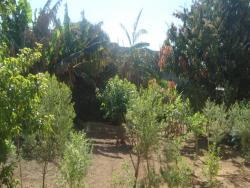 Casa para Venda em Atibaia - 5