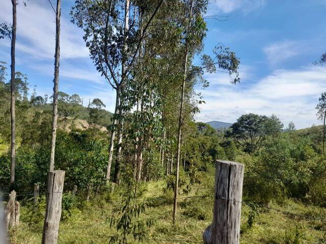 #288 - Chácara para Venda em Atibaia - SP