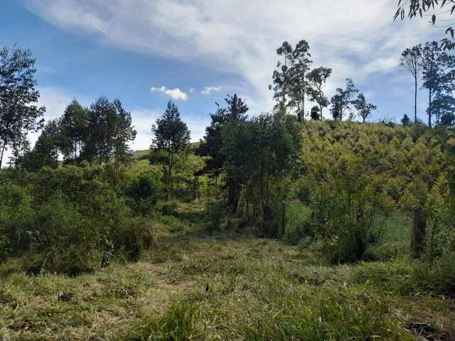 #288 - Chácara para Venda em Atibaia - SP - 3