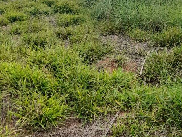 Área para Venda em Atibaia - 4