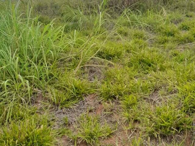 Área para Venda em Atibaia - 5