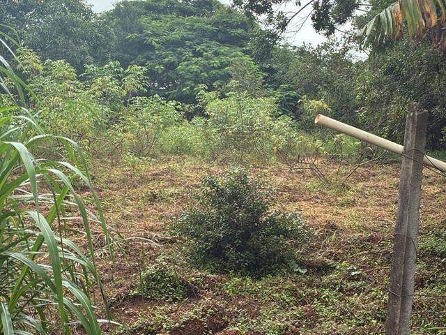 #315 - Área para Venda em Atibaia - SP