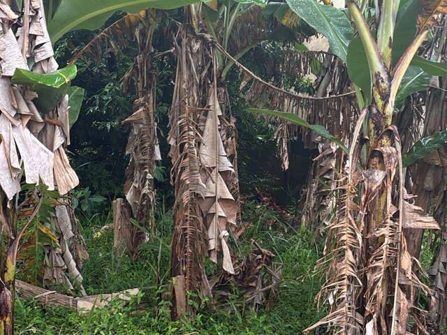 #315 - Área para Venda em Atibaia - SP - 2