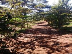 Terreno para Venda em Atibaia - 4